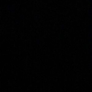 Meet your Posher, Maya